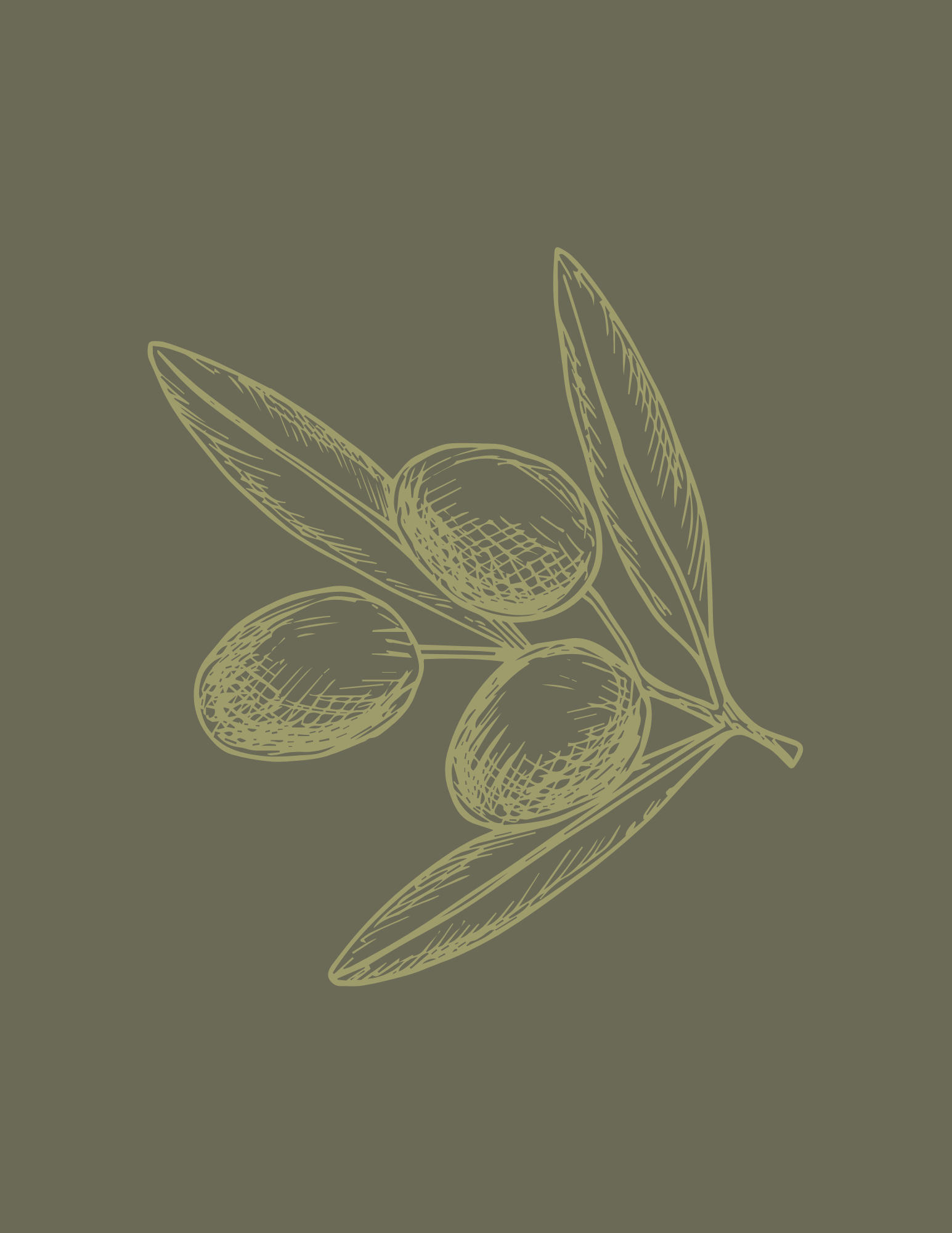 Heirloom Media olive branch